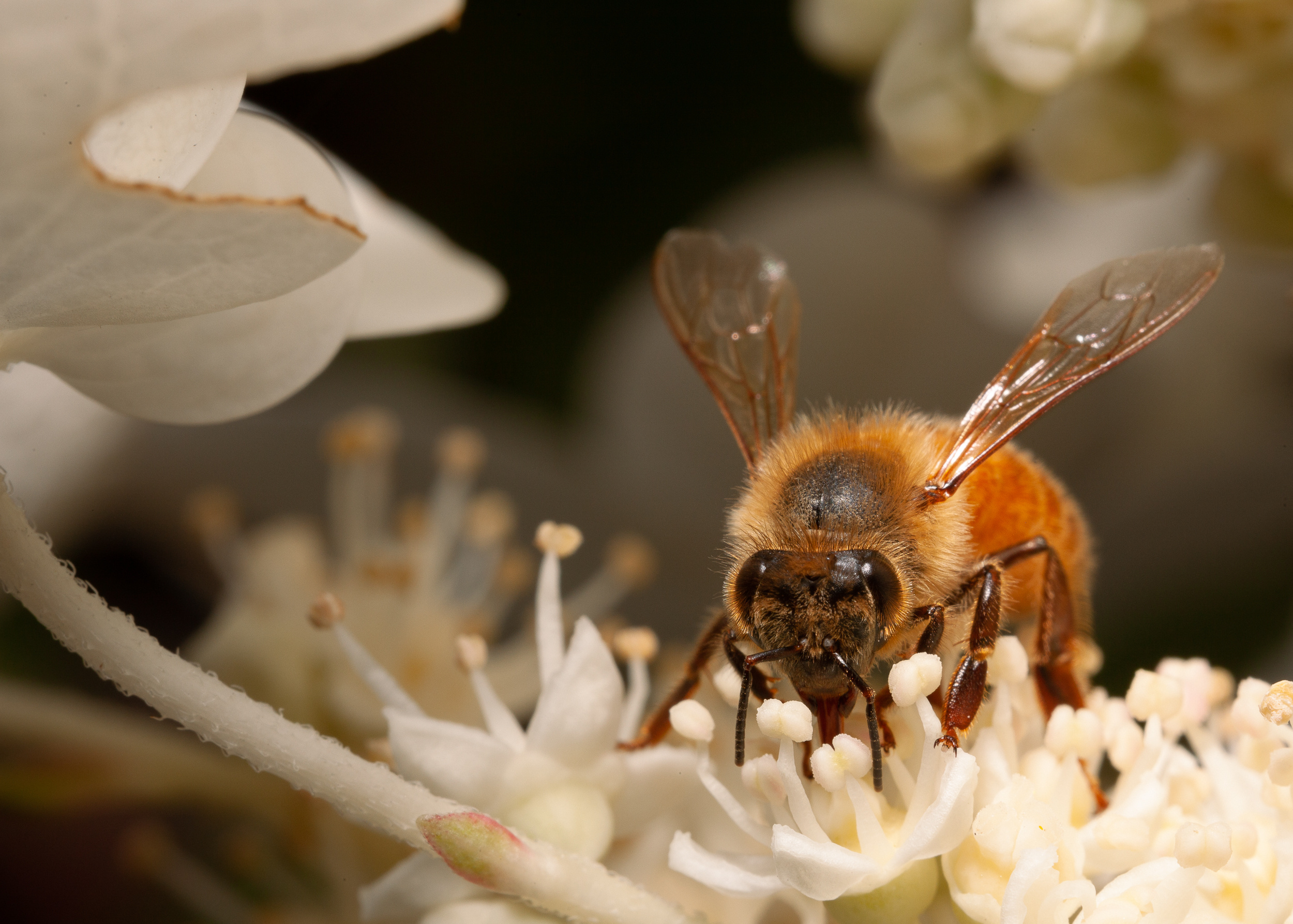 27 27