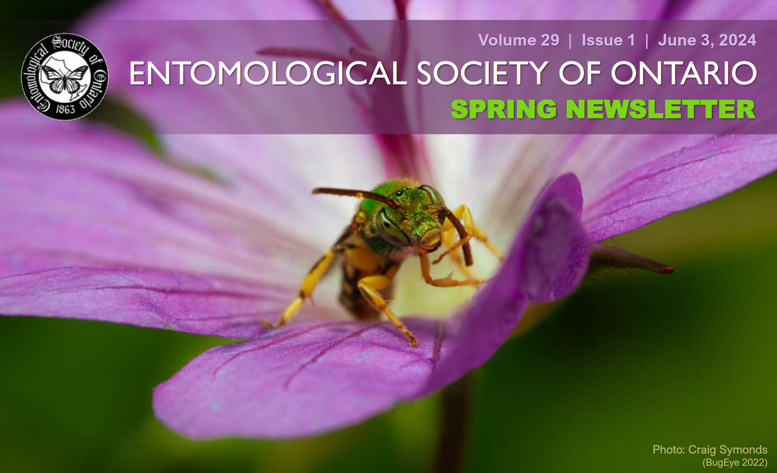 Craig Symonds for the Entomological Society of Ontario Spring 2024 Newsletter